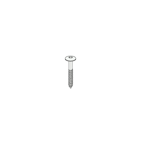 Torx schroeven RVS
