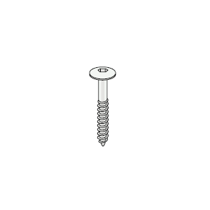 Torx schroeven RVS