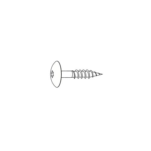 RVS Kleurkop schroef a05.0.0 puur wit 100st 4.8x25