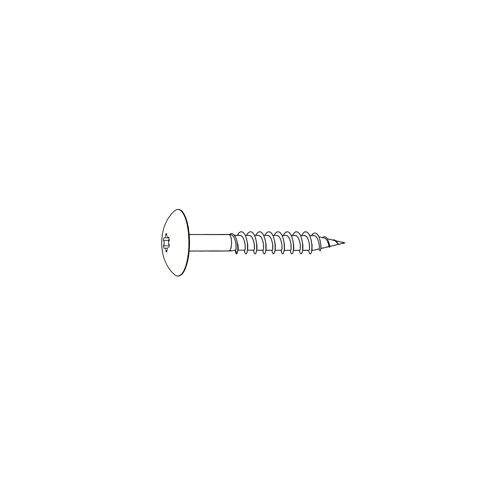 RVS Kleurkop schroef a05.0.0 puur wit 100st 4.8x38