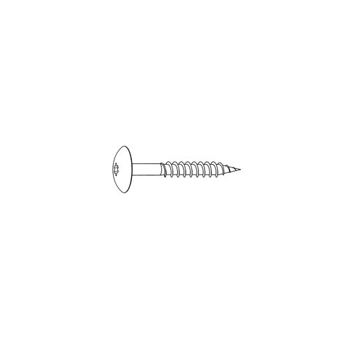 RVS kleurkop schroef a05.0.0  wit 100st 4.8x38