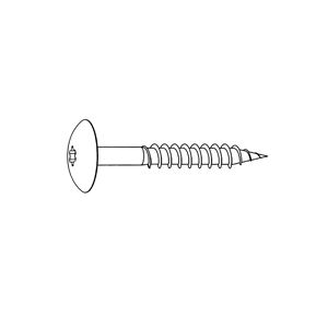 RVS kleurkop schroef a05.0.0 wit 100st 4.8x38