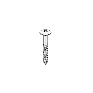 Torx schroeven RVS