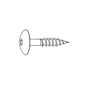 RVS Kleurkop schroef a05.0.0 puur wit 100st 4.8x25