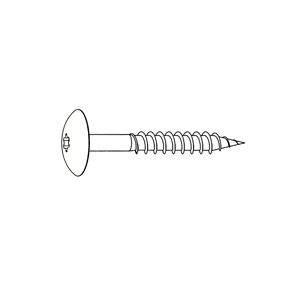 RVS Kleurkop schroef a05.0.0 puur wit 100st 4.8x38